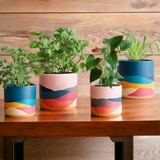 Abstract Pink Planter (Set of 4)