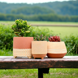 Five Star Planters (Set of 3)