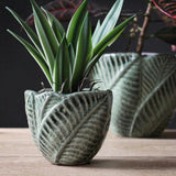 Leaf Planter Set of 3 - Home Things