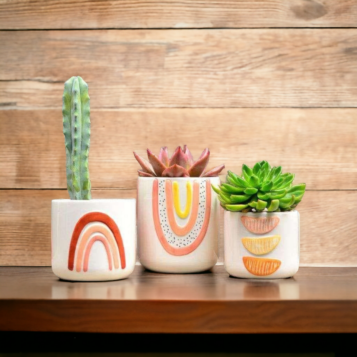 Abstract Rainbow Planters (Set of 3)