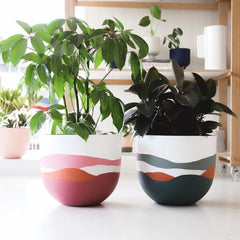 Bloom Planter (Set of 4) - homethings.in