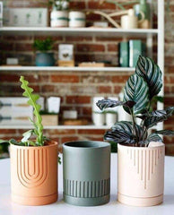 Etched Planter (SET OF 3) - homethings.in