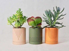 Etched Planter (SET OF 3) - homethings.in