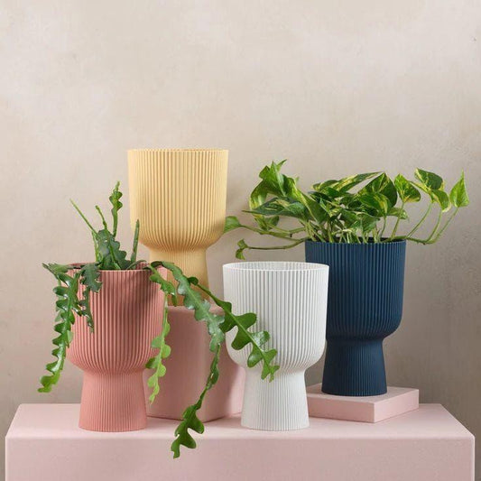 Ribbed Planter set of 4 - homethings.in