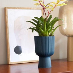 Ribbed Planter set of 4 - homethings.in