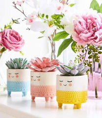 Smiling Planter (Set of 3) - homethings.in