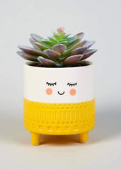 Smiling Planter (Set of 3) - homethings.in