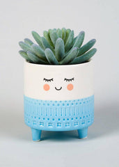 Smiling Planter (Set of 3) - homethings.in