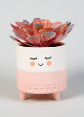 Smiling Planter (Set of 3) - homethings.in