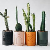 Spring Planter (SET OF 5).