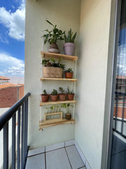 Vertical garden shelf - homethings.in