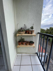 Vertical garden shelf - homethings.in